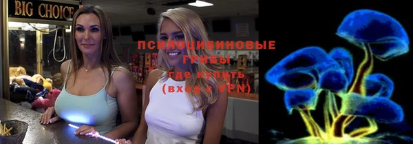 ECSTASY Зеленокумск