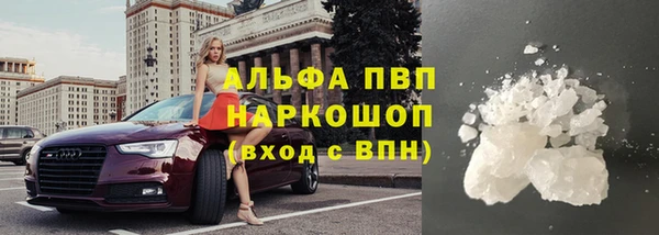 мдпв Пестово