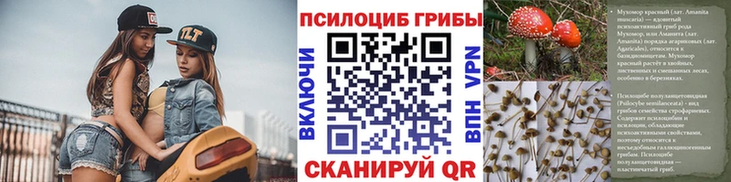 гидра ССЫЛКА  Старица  Псилоцибиновые грибы мухоморы 